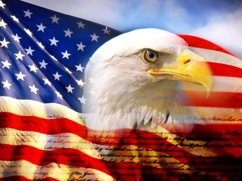 American Flag Eagle