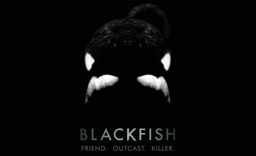 SeaWorld Admits <em>Blackfish</em> documentary has hurt attendance