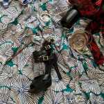 Bed - Public Affairs