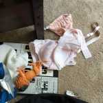 Public Affairs - Bra 2