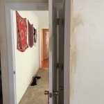 public affairs - stains