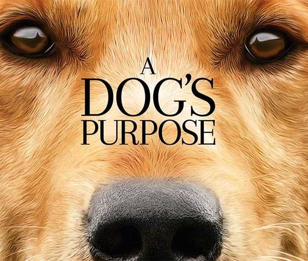 Blu-ray Review: ‘A Dog’s Purpose’ Is A Steady Tearjerker For Dog Lovers