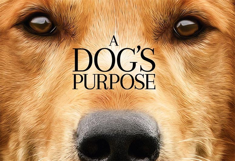 A-Dogs-Purpose-Banner